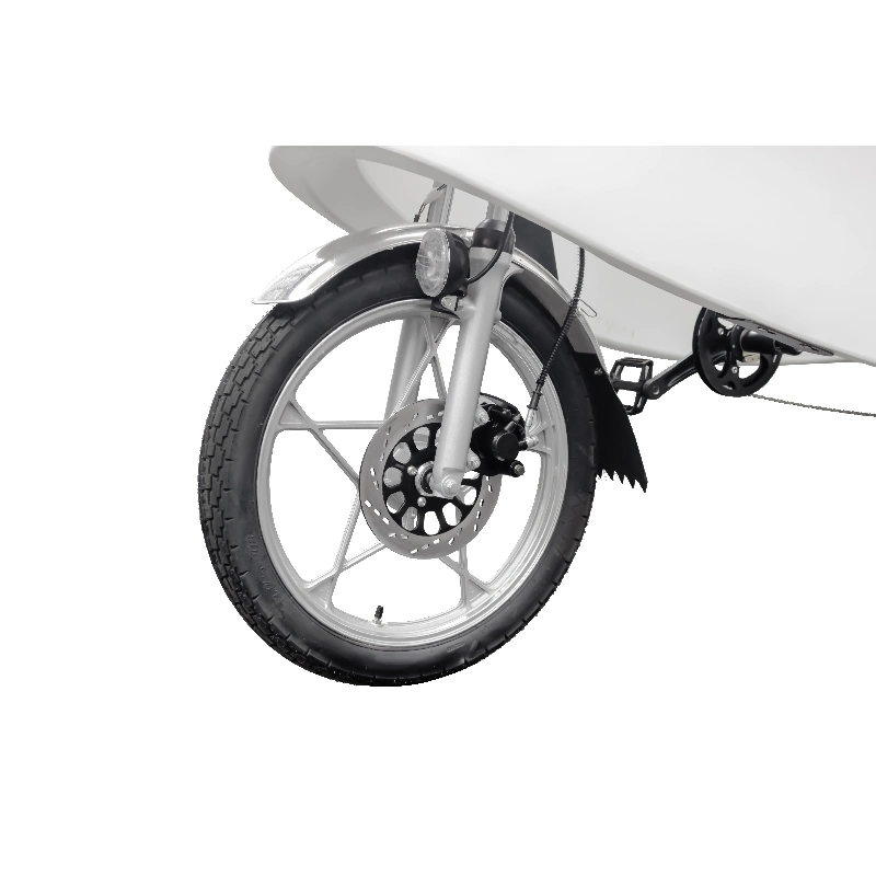 White Plastic Boby Three Wheel Motorcycle Electric Tricy