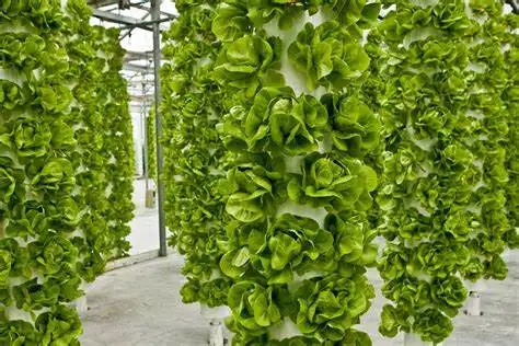 Nova agricultura estufa vertical hydroponic crescente sistema Home jardim vegetal Dispositivo em crescimento