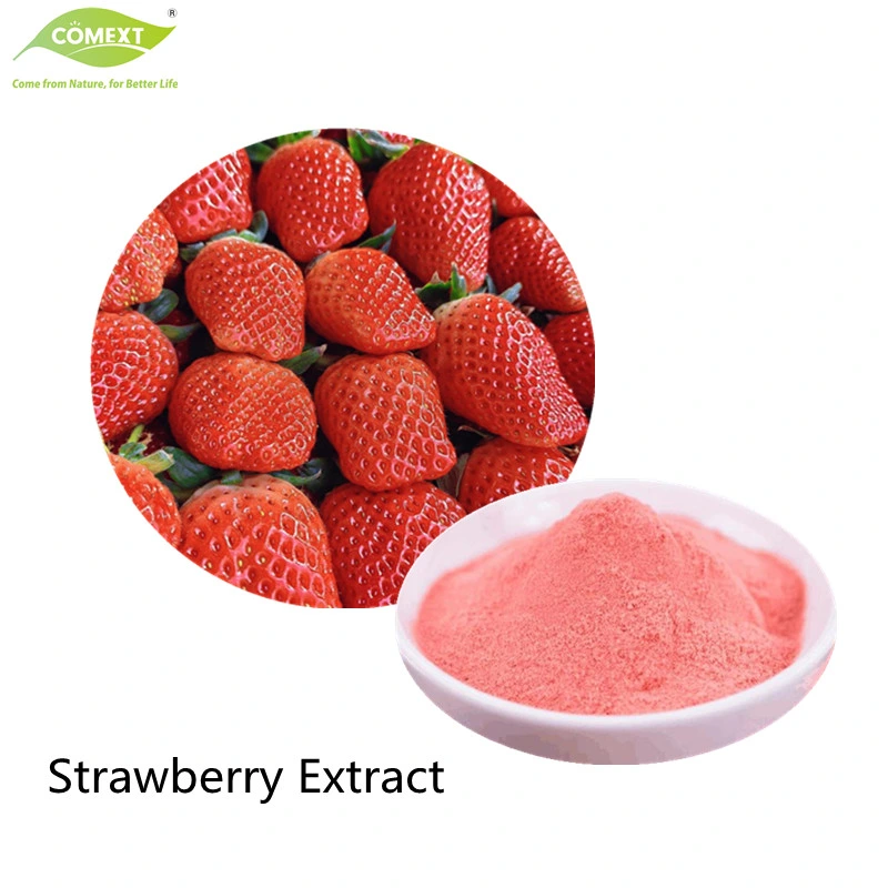 Comext Wholesale Bulk Price Spray Dried Water Soluble Strawberry Juice Powder Extract