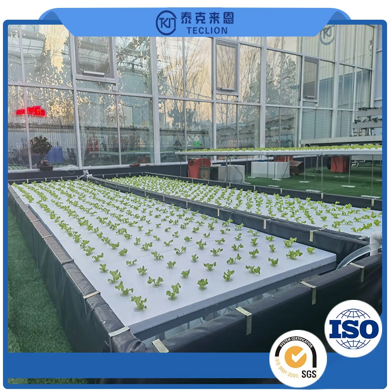 Commercial Greenhouse Planting Soilless Cultivation Hydroponics System Manufacturer Direct Sales