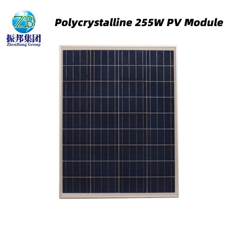 Pet Solar Panels Has Good Aging Resistance and Water Sealing Performance Polycrystalline Silicon 255W PV Module