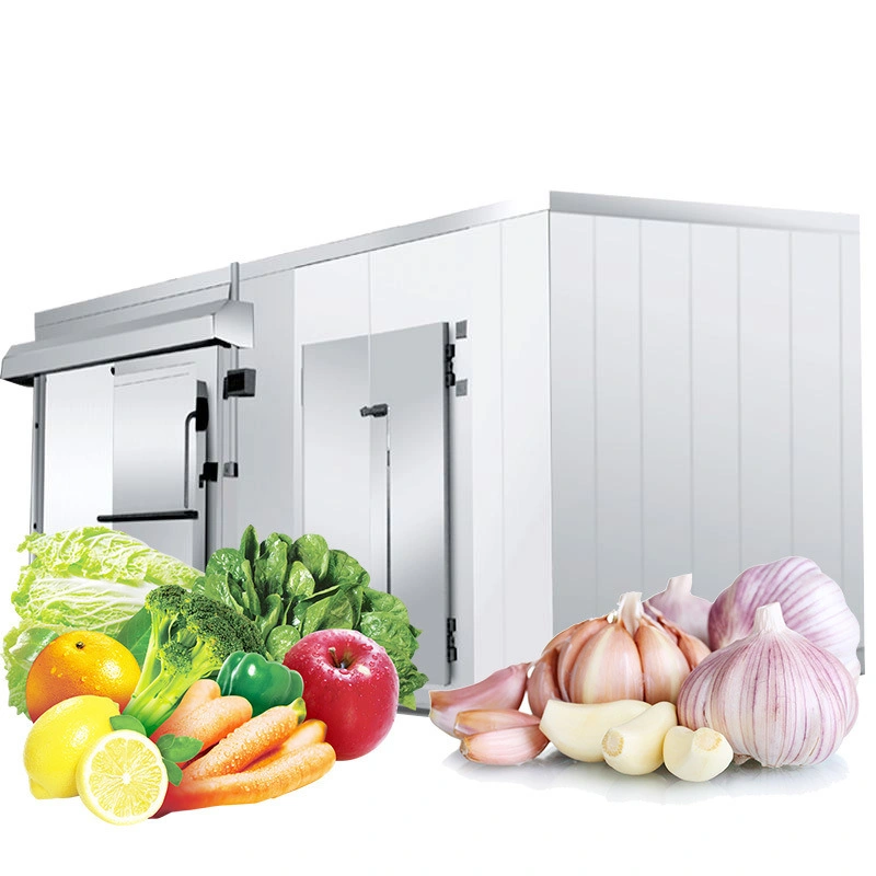 Industrial de acero inoxidable cámaras frigoríficas de almacenamiento en frío Coldroom refrigerador para la venta