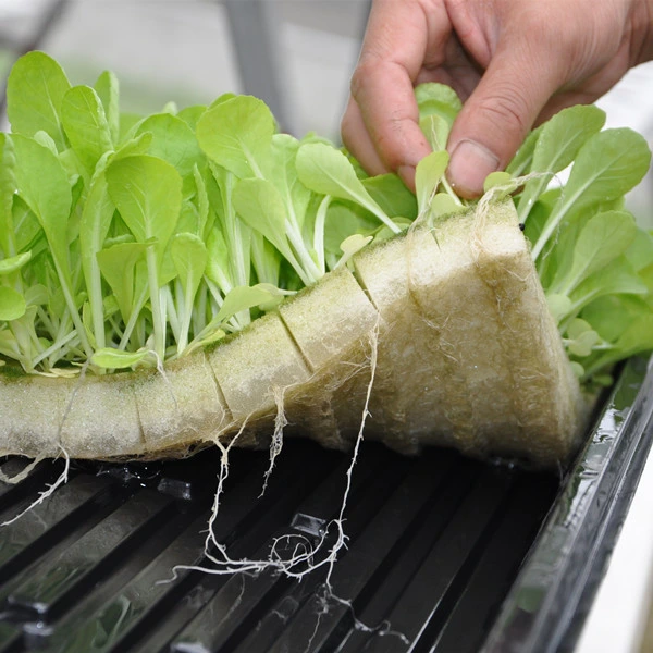 Hydroponics Sponge Seed Growing Media for Mesh Net Pots Insert Cylindrical Foams Garden Plants Germination Kits