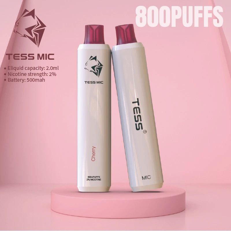 Wholesale/Supplier Disposable/Chargeable Vape 800 Puffs 10 Fruit Flavor Electric Hookah Vape Pen