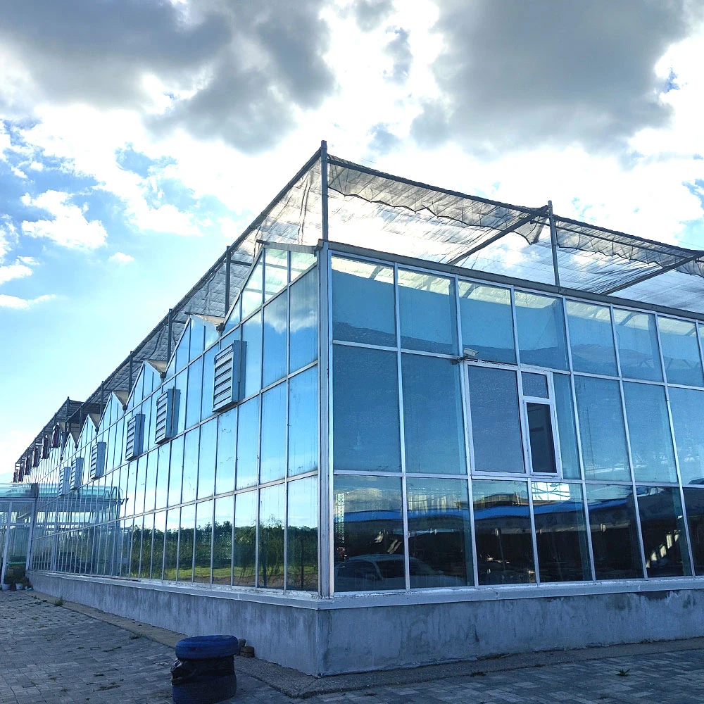 Modern Venlo Multi-Span Arch Glass Greenhouse for Farm/Commercial Buildings/Starry Sky Room with Boiler/Exhaust Fan/Wet Curtain/Nft Channels