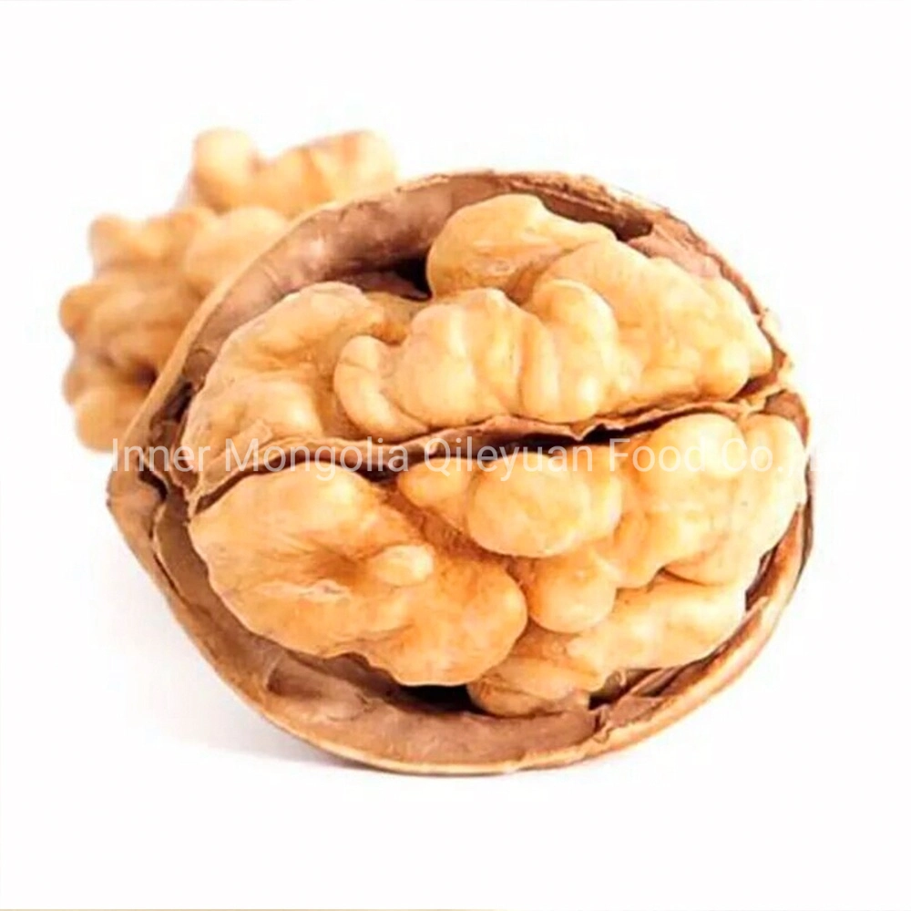 Chinese Walnut Price with Thin Paper Shell Big Size 30+/32+/34+