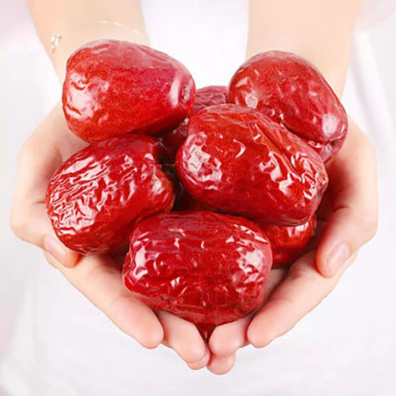 Grande quantité Xinjiang dates d'exportation Jujube séché Date