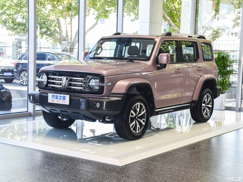 Carro a gasolina compacto, TAMANHO MÉDIO, com tração integral, 300 SUV