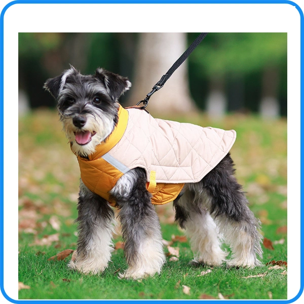 Factory Wholesale/Supplier Cheap Pet clothes Dog Apparel