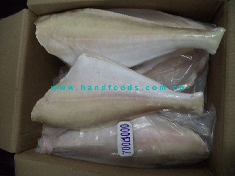 Top Quality Wild Sea Catch Fish of Cleaned Leather Jacket with Food Grade Plasctic Bag