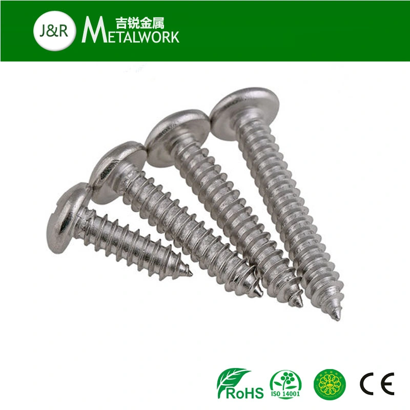 A2 A4 Stainless Steel SS304 SS316 Self Tapping Screw