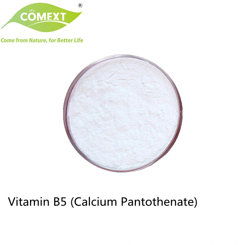 Comext Factory Sale Bulk B1 B2 B3 B5 B6 B9 B12 Food Grade Health Product Vitamin Powder