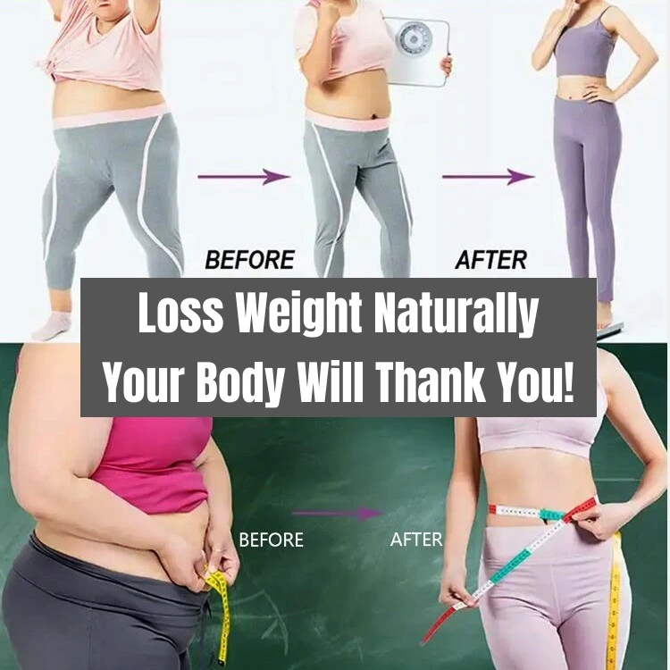 Chinese Herbal Remedy Natural Solution Metabolic Support Healthy Weight Slim Body Remove Obesity Normal Life Dietary Supplement