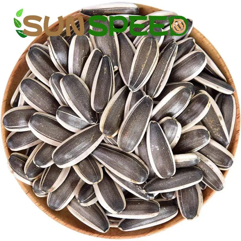 Halal Certificate Roasted Sunflower Seeds Wholesale