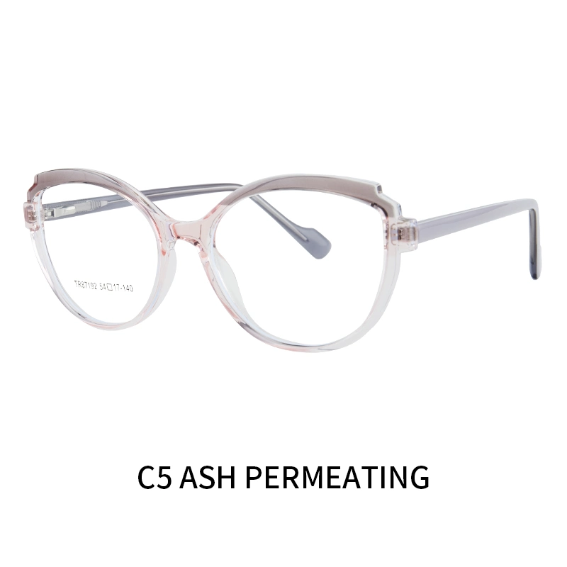 Tr87192 2023 Fresh New Model China Fashion Style Black High quality/High cost performance  Tr90 Optical Frame Anti Blue Eyeglasses