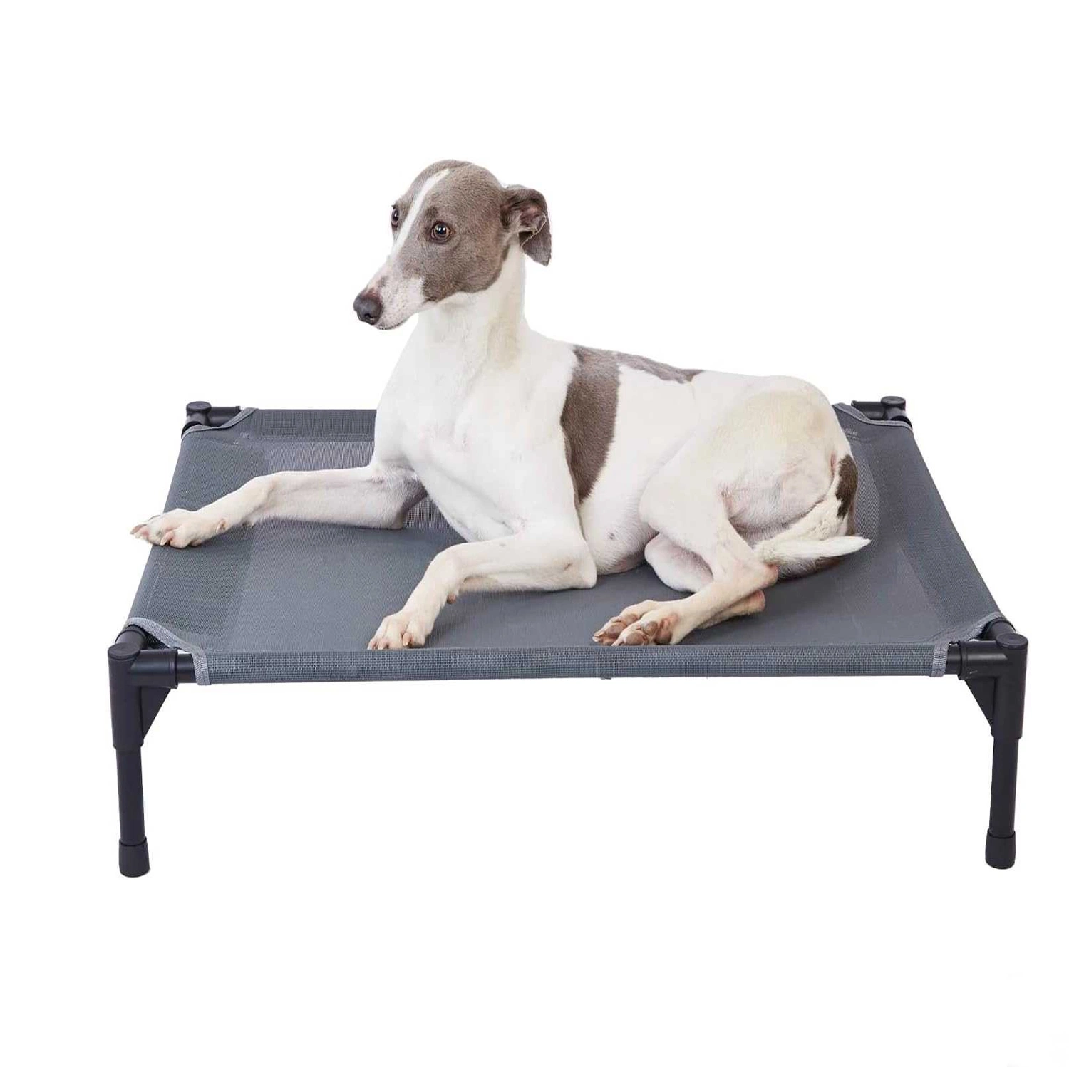 Ours en toile en filet pour animaux avec cadre en fer et lit pour chiens surélevés Poids lourd