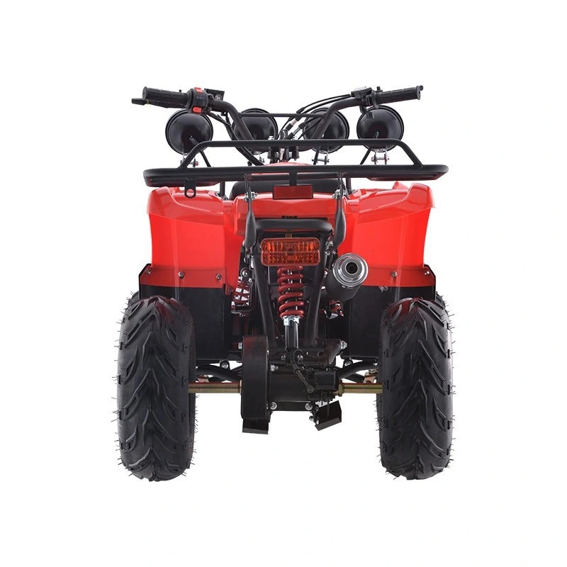 250cc 2 Stroke 800W 80cc Clothing Farmer Gas Powered Gun Rack Hub Motor Mini Petrol Quad for Sale Storage Tire 20X10 10 ATV