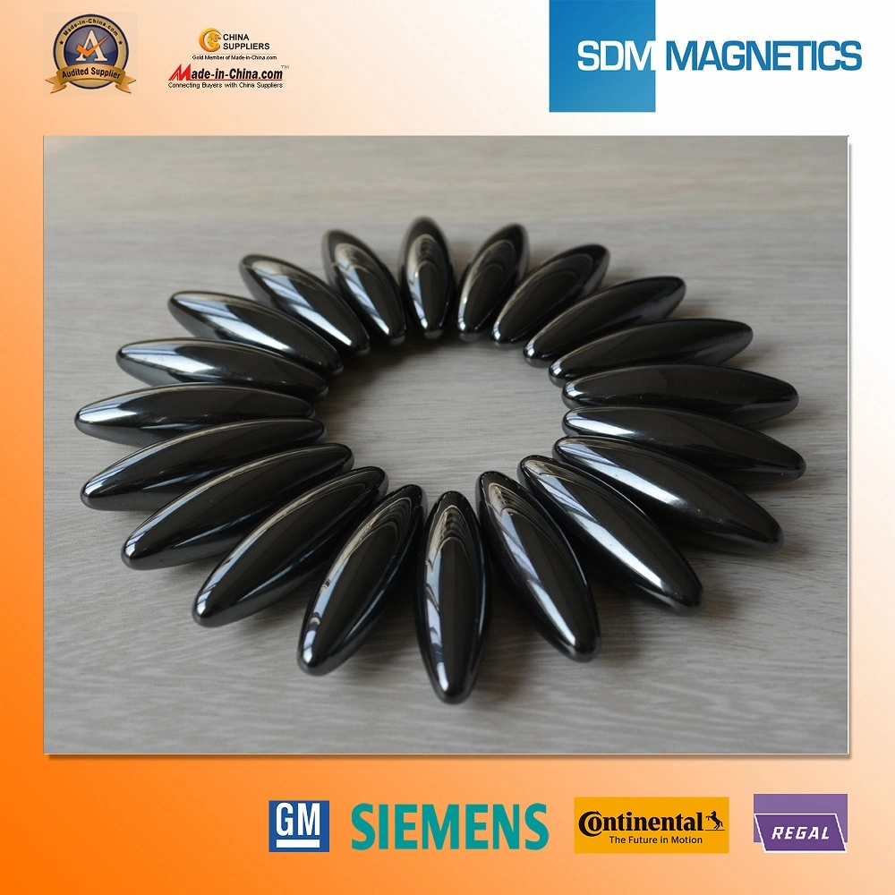 Special Shape Epoxy Magnet with Pass The Ts 164949