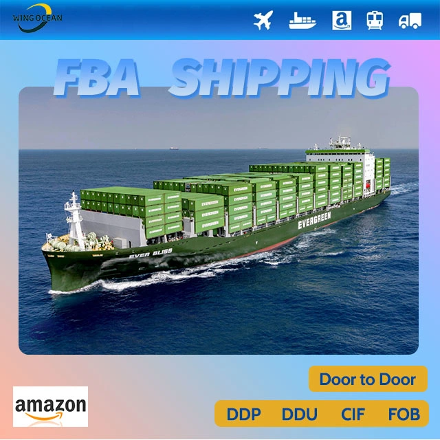 International Expertised Sea Freight Agent International Shipping Forwarder Shipping From China to Mexico/ Australia