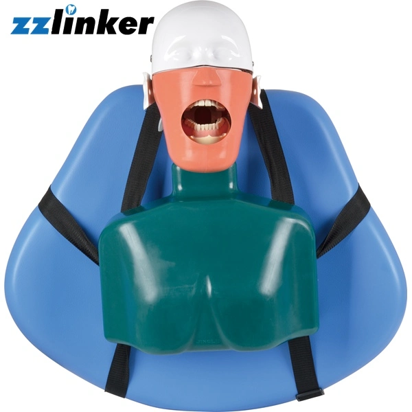 LK-OS24 mannequin tête fantôme moule Dental simple Head Simulator avec Ceinture pour l'entraînement