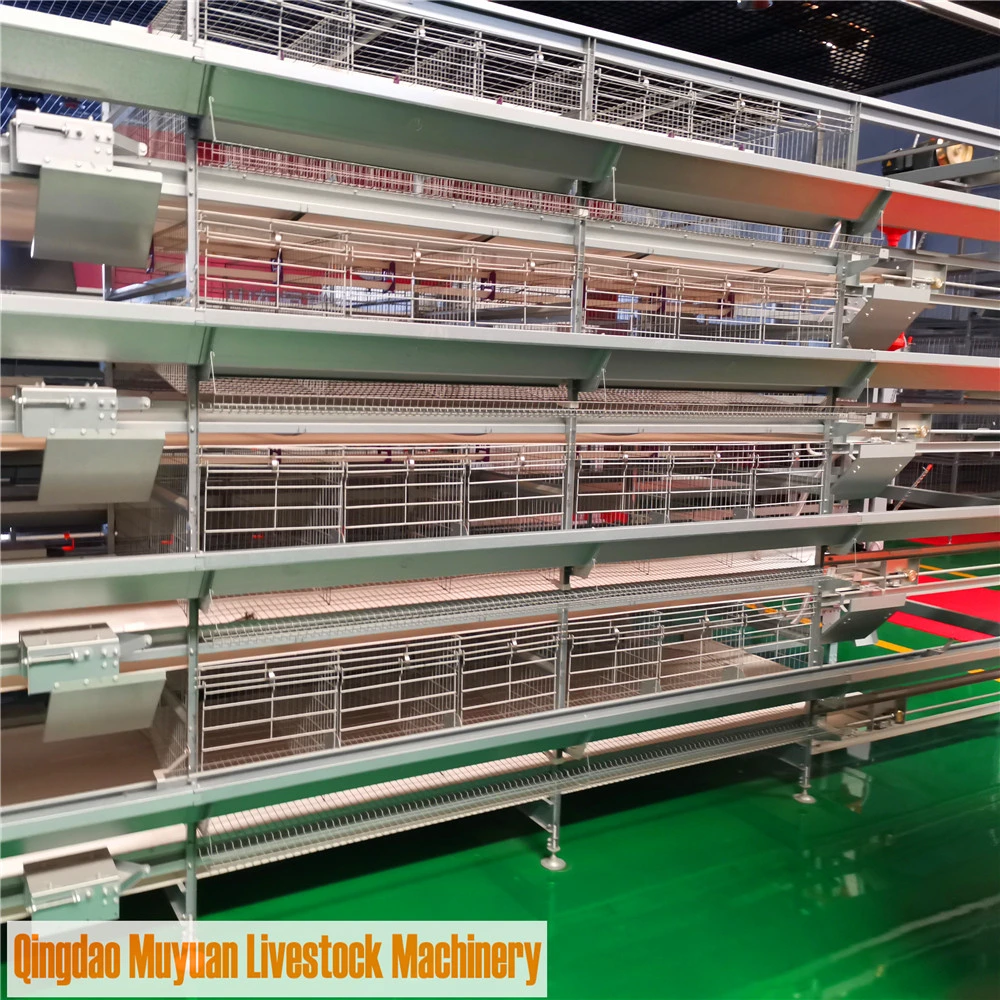 Factory Directly H-Type Layer Chicken Battery Cage for Algeria Farm