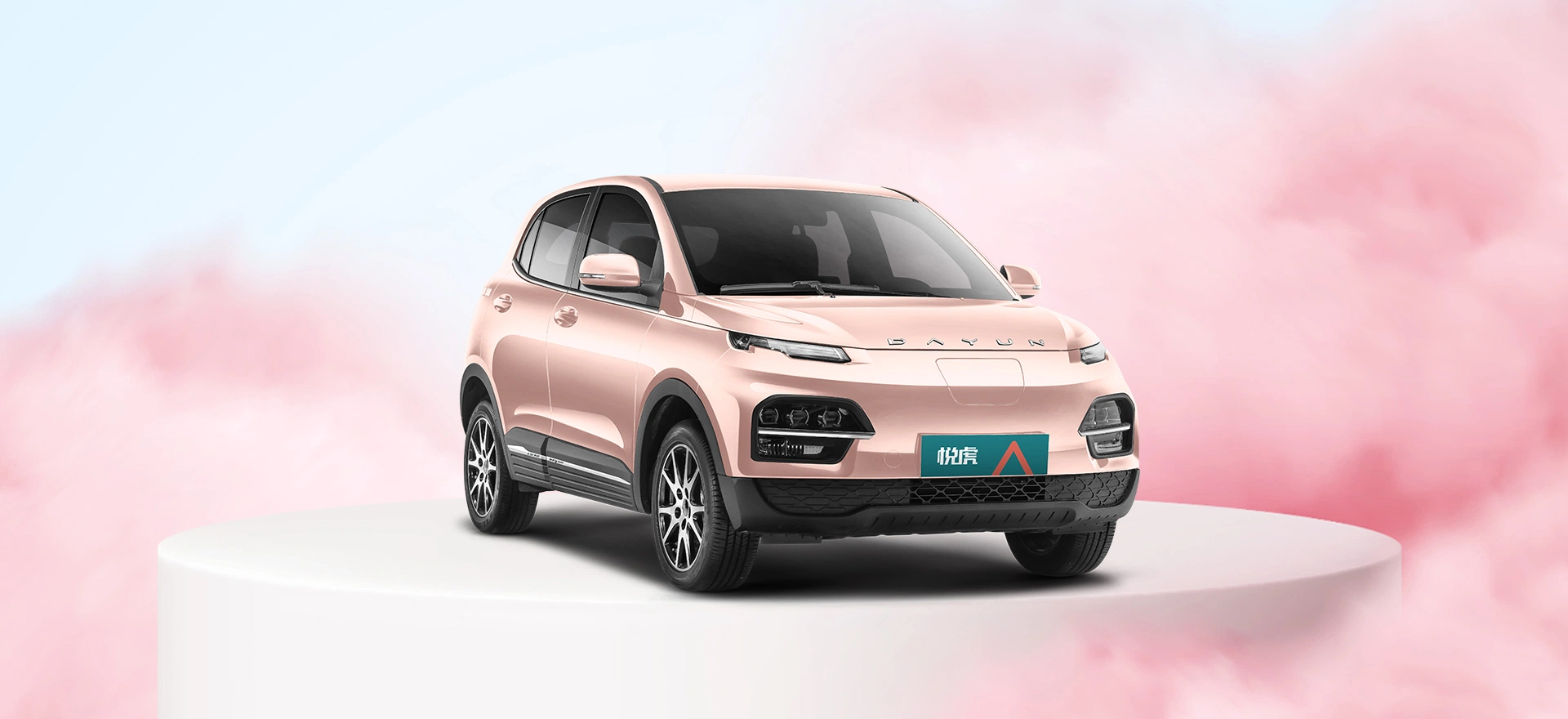 CE Approved Electric Car New Energy Vehicle Mini SUV Dayun Yuehu