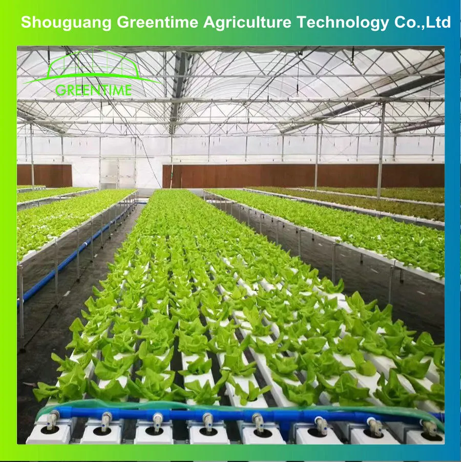 Industrial Hydroponics Nft System with Irrigation a Vertical Growing Greenhouse System for Sale