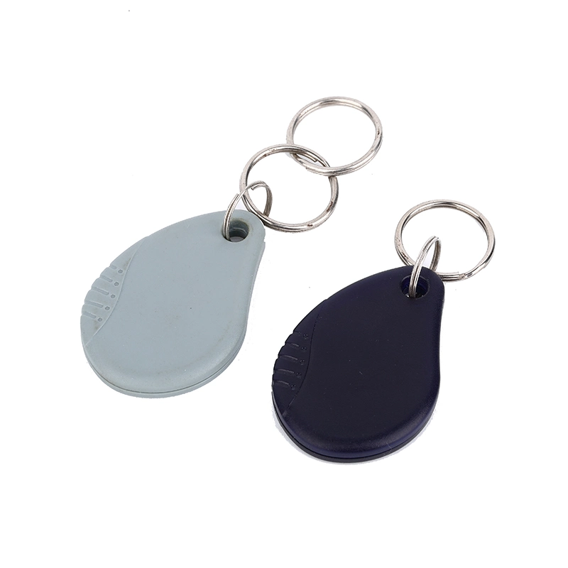 Low Frequency Keyfob / Lf RFID Tags / ABS Keychain for Access Control