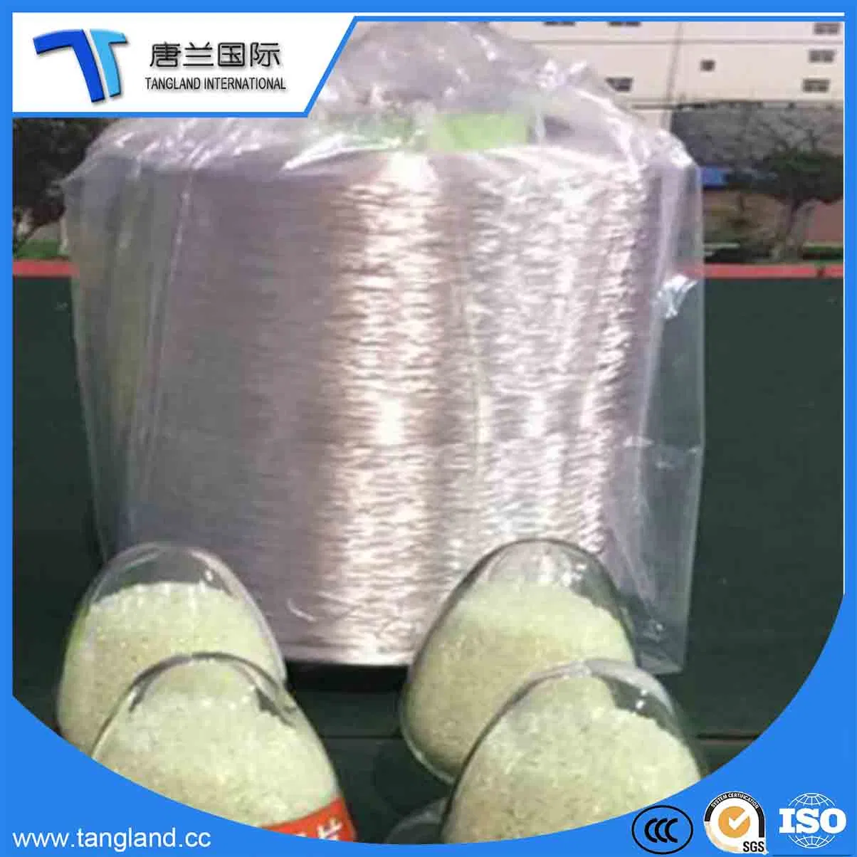 Polyamide Fiber Textile Nylon6 PA Industrial Yarn/Silk