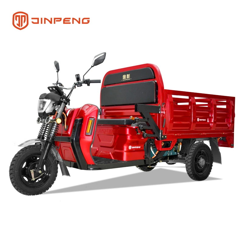 Dls150 PRO China Supplying Electric Tricycle New Energy Resources Three Wheel Vehicle Electric Loader High Quality for Cargo Basic Customization