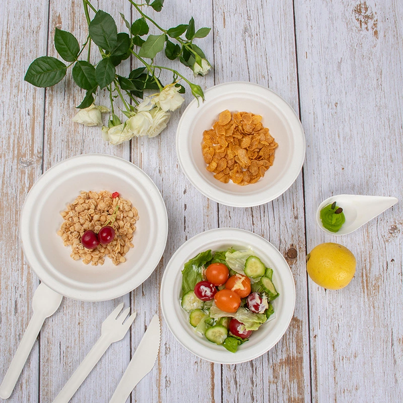 Zu gehen Pappteller beliebt günstig Picknick Zuckerrohr Bagasse Big Food Party einmal Teller und Schüsseln