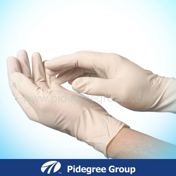 Health Latex Surgical Gloves Sterilized by Gamma Radiation ISO13485 Certified by SGS