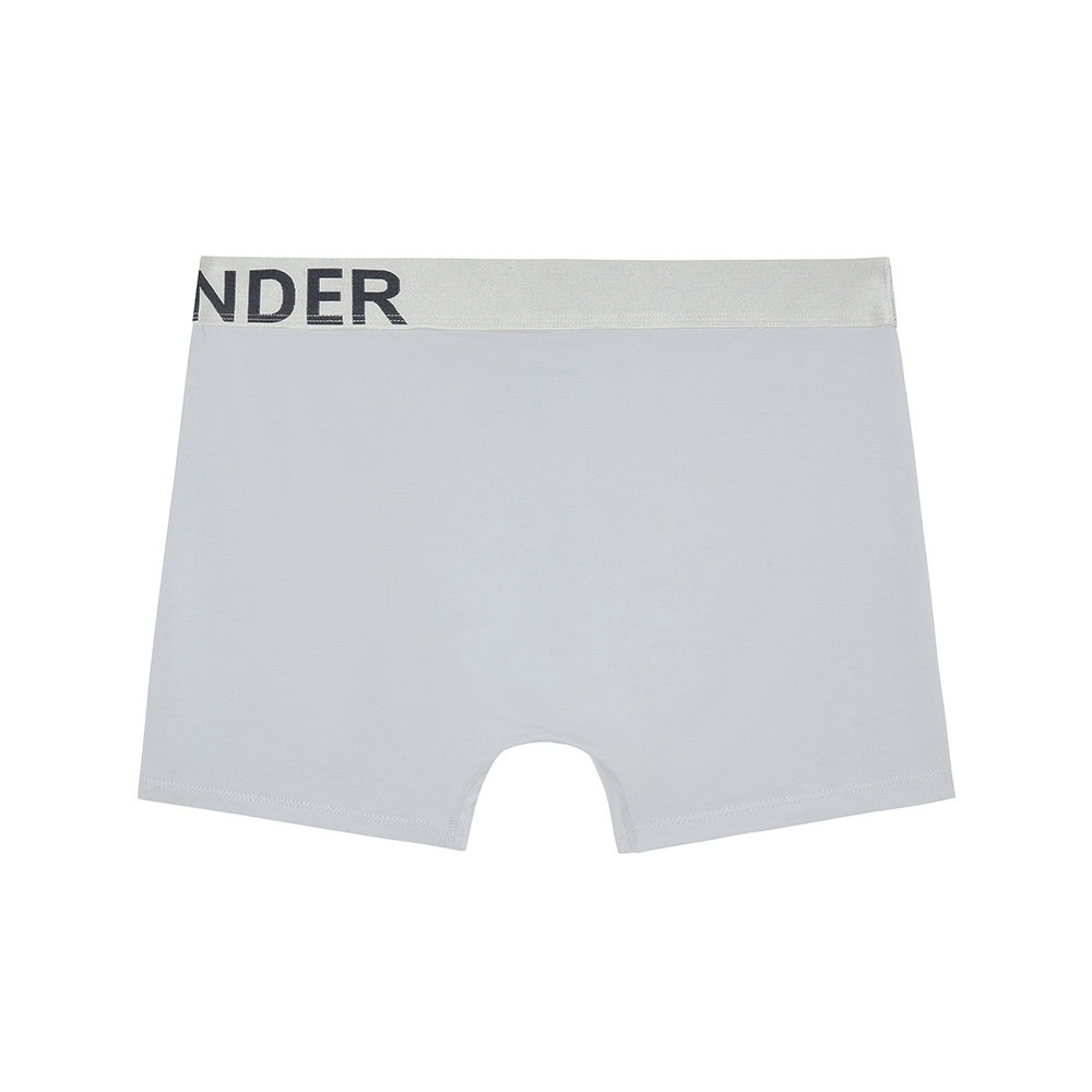 Os homens confortável' S roupas íntimas Boxer Briefs OEM Service de tecido de algodão quente estilo de venda