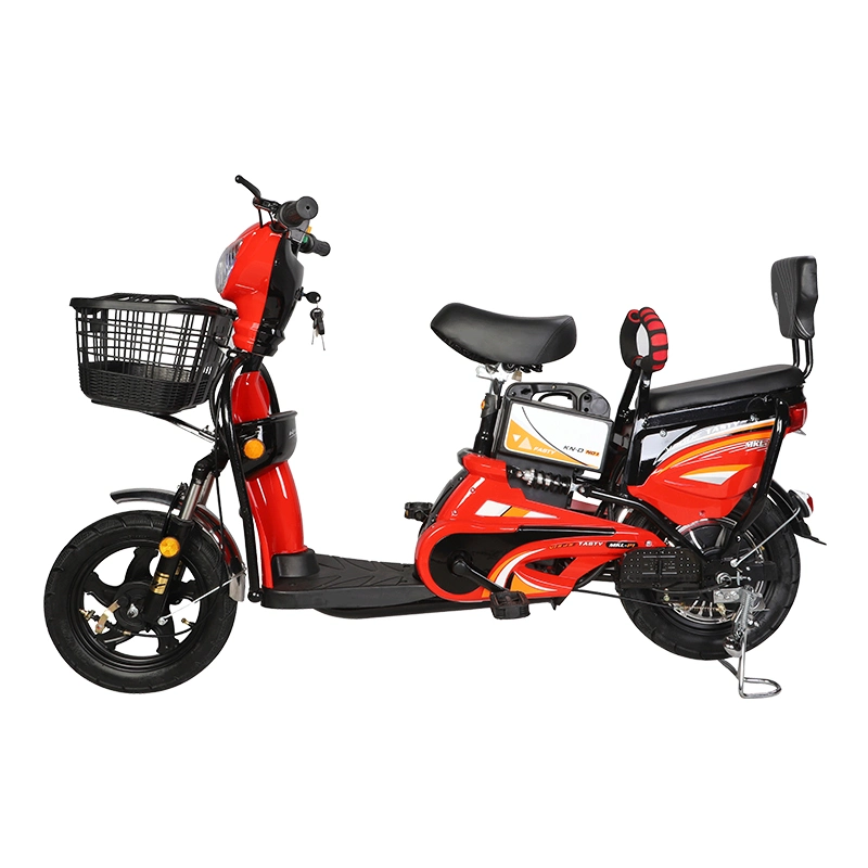 Scooter eléctrico de alta calidad 350W 48V carga eléctrica