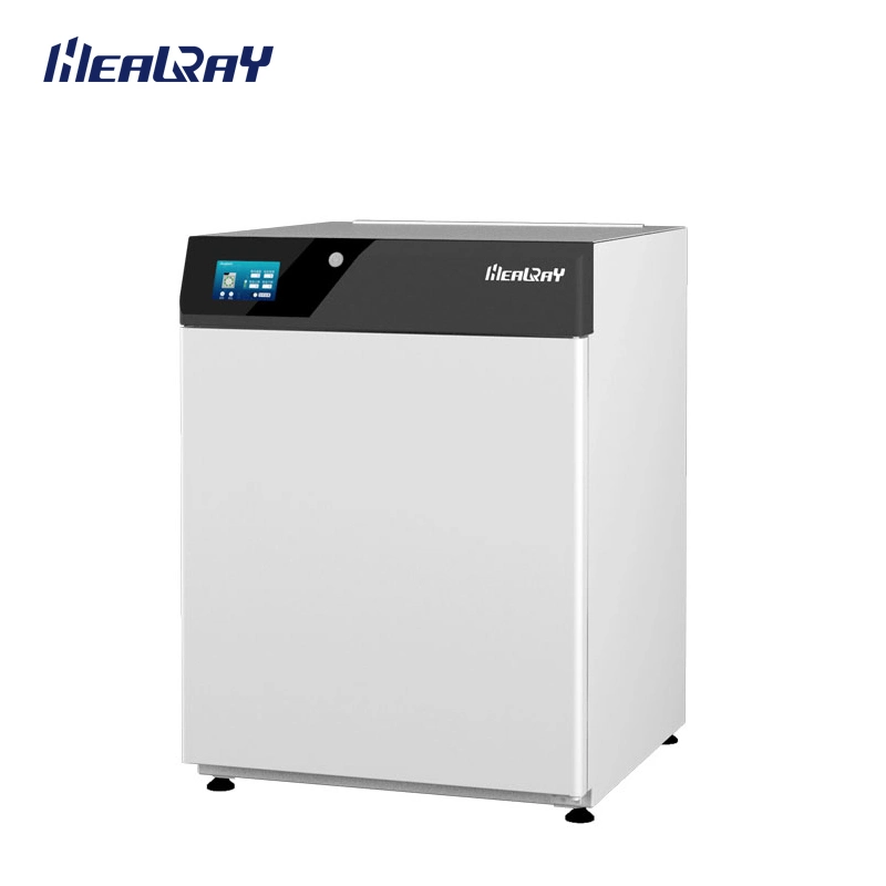 High Quality Manufacturer Microorganism Constant Temperature Incubator Manufacturers Direct Selling Lab Suppliers Lab Instrument