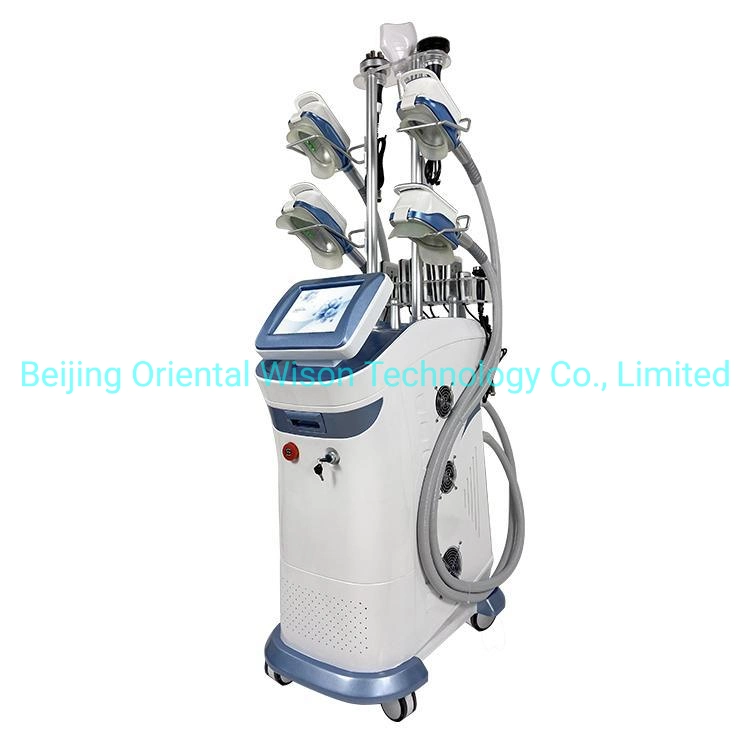 2022 Fat Removal 360 Cryo 5 Handles Cryolipolysis Machine 360 Cryolipolysis Slimming 3 Cryo Handles 4 Cryo Head