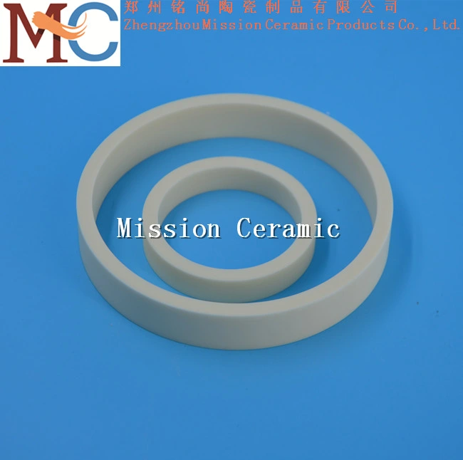 Ceramic Insulation Customized Any Sizes Alumina Ceramic Ring