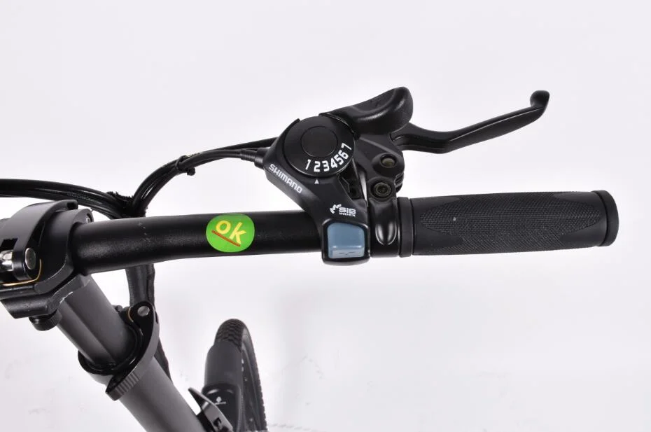 Mountain Electric Bike with GPS Locating System