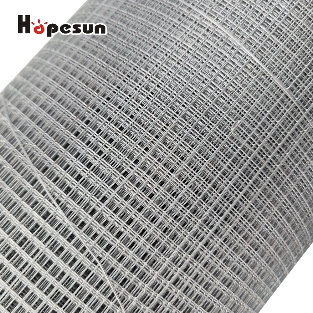 Hot Dipped Galvanized Before Welded Wire Mesh in Roll