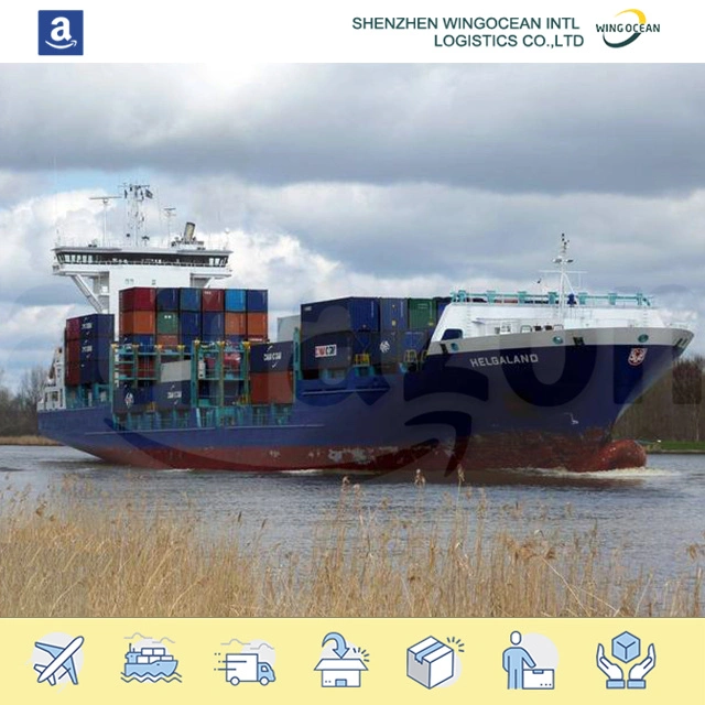 Professionnel excellent International Amazon Sea Freight Provider Service Sea Cargo Expédition au Mexique/Australie