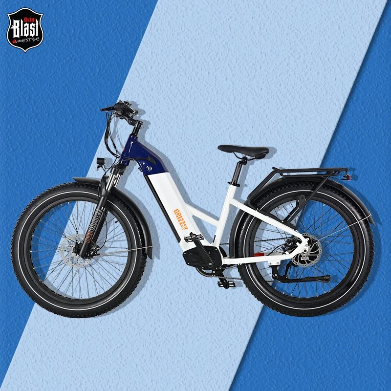 New Type Fast Dirt Mountain Ebike 750W Big Rate Hub Motor Electric Bikes