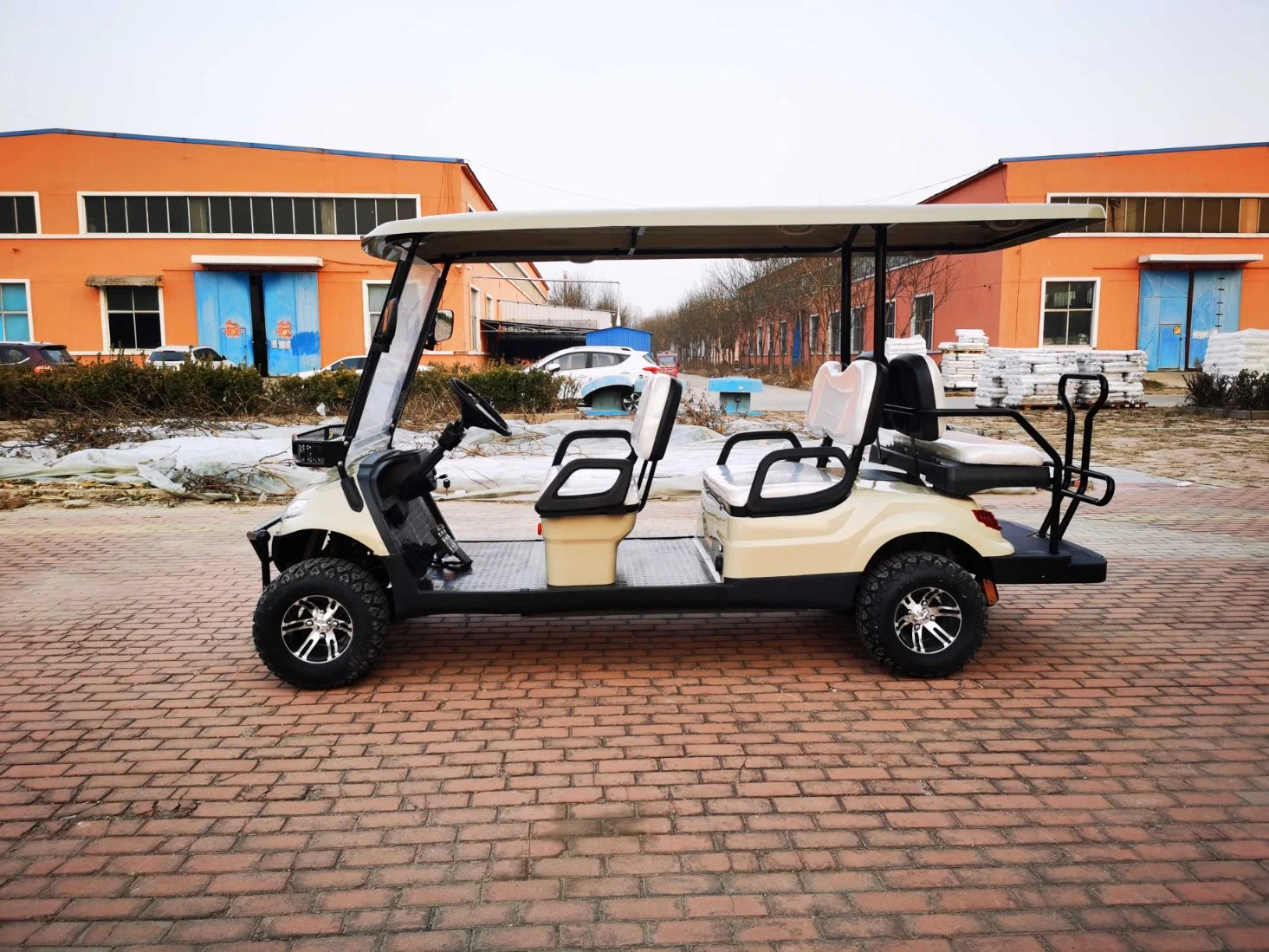 Hot Sports Ground Golf Buggy off-Road Electric Golf Cart for Sale