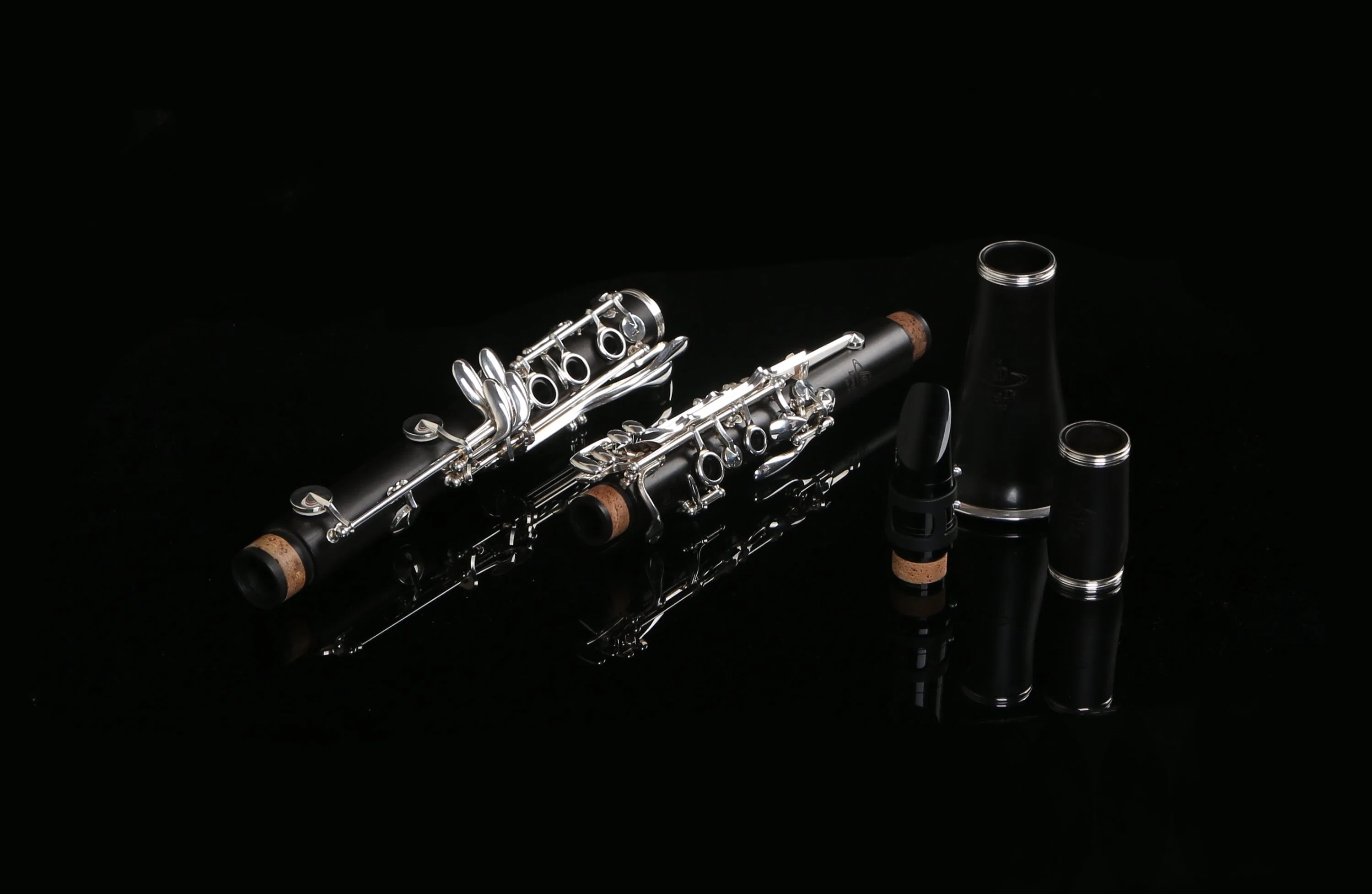 Very Good Beginner Student Clarinet Forest Manufacturer