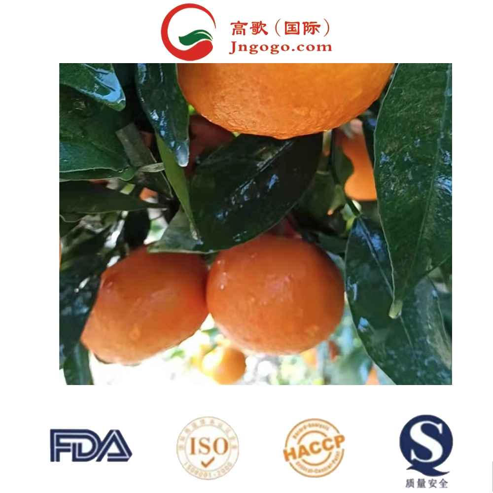 Fresh Low Price Natural Satsuma High quality/High cost performance  Sweet Tangerine