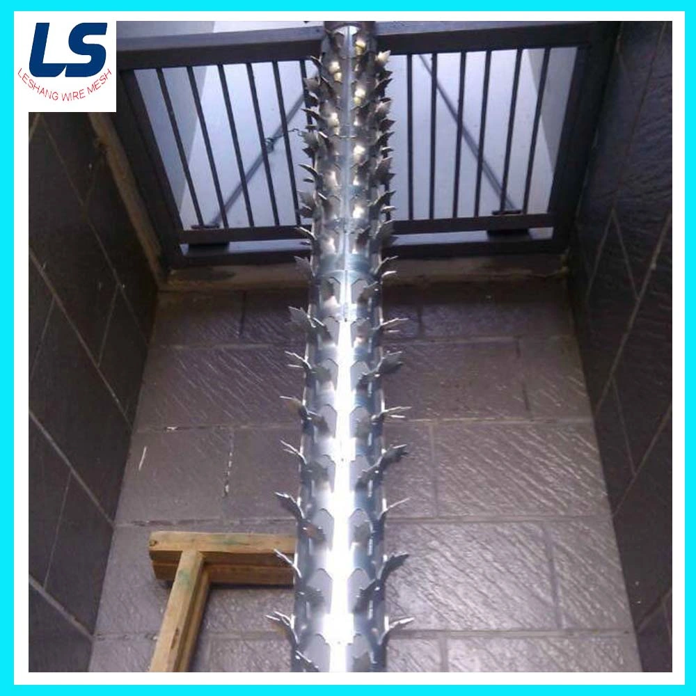 Galvanized Razor Spike for Security Wall Fence