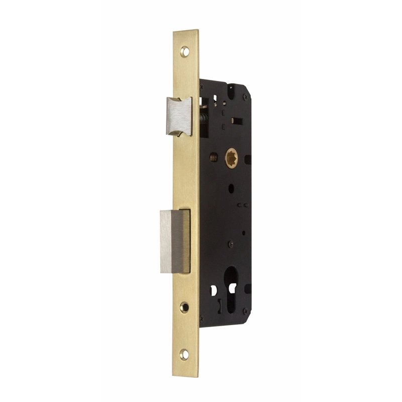 Brass Gold Finish Panel Door Handle (CS004)