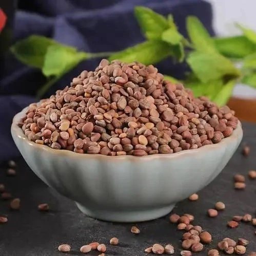 Raphanus Sativus Seed Natural Herb Plant Prepared Traditional Chinese Herbal Medicine Indigestion