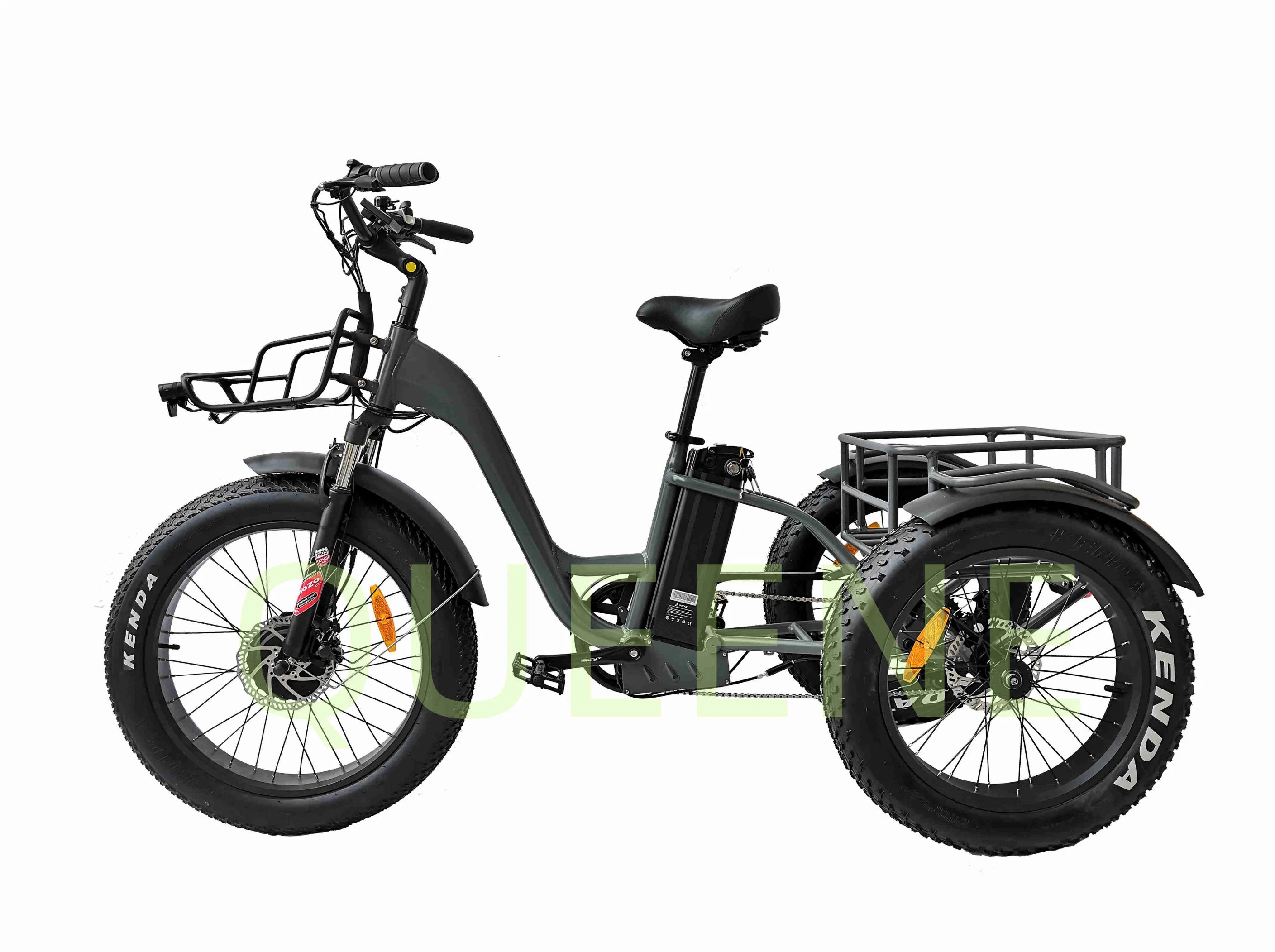 Queene/750W Electric Fat Tire Trike 24"*4.0 Inch Cargo Delivery Electric Tricycle 3 Wheel Electric Bike for Disabled