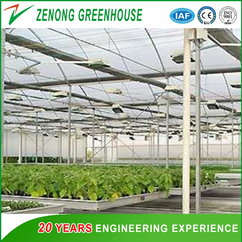 Multi-Span Intelligent Poly Tunnel Greenhouse Covered with Po Film for Cultivation/Exhibition/Experiment/Eco Park