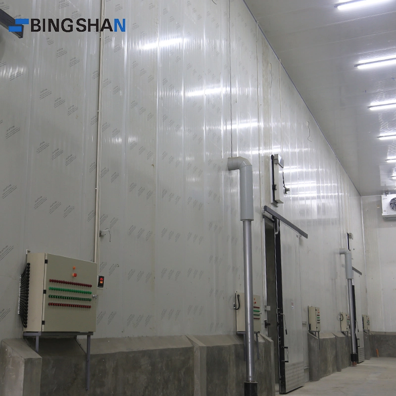 Meat Industrial Blast Freezer, Yogurt Processing Cold Room Kit, Cold Room Parts